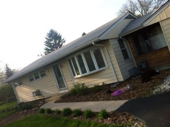 tanzelmo profile photo