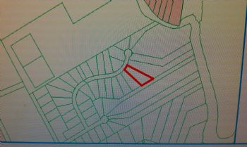 alleghanycow profile photo