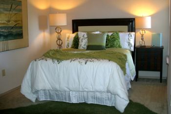 ynvasque profile photo