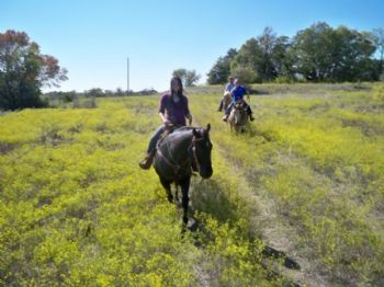 ShortStack profile photo