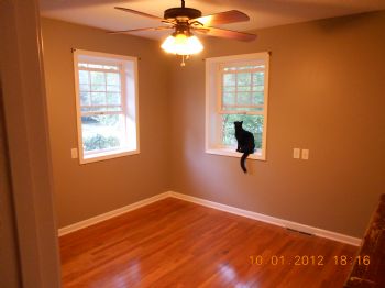 animallover2 profile photo