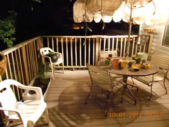 animallover2 profile photo