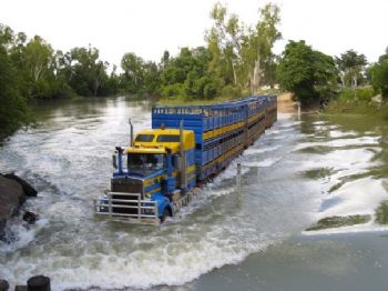 aussybloke profile photo