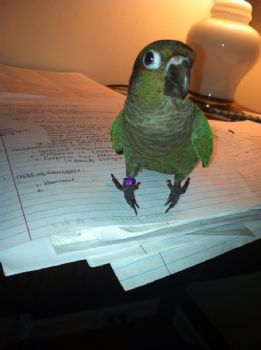 katekemp92 profile photo