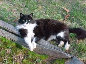 abby1954 profile photo