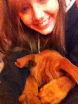 Sheagib92 profile photo