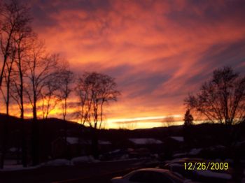 Phoenix8 profile photo