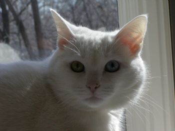 mem1955 profile photo