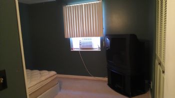 Shendoa profile photo