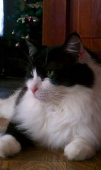 Hailey105 profile photo