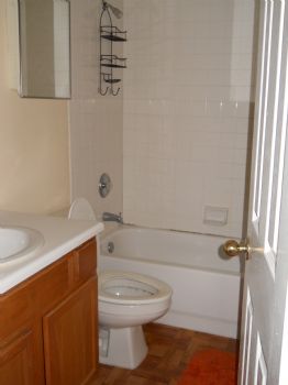 loleksy profile photo