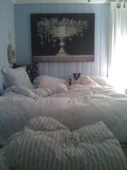 KristenK profile photo