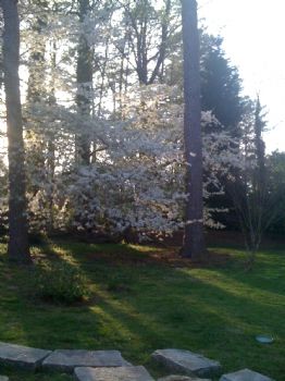 KristenK profile photo