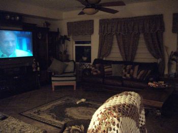 vegasvivy profile photo