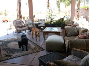 vegasvivy profile photo