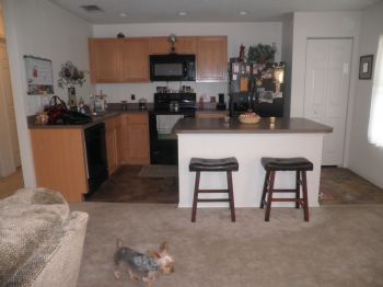 amber34 profile photo