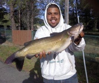 Cat_Daddy23 profile photo