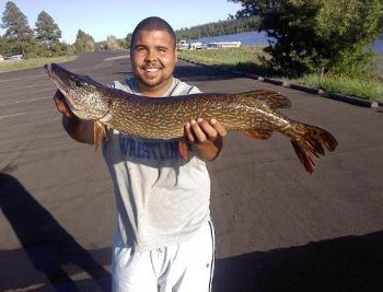 Cat_Daddy23 profile photo