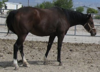 spotsrus1 profile photo