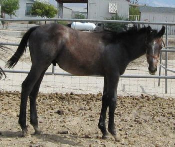 spotsrus1 profile photo