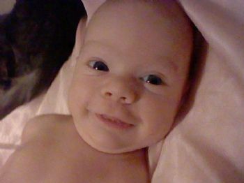 koki88fish profile photo