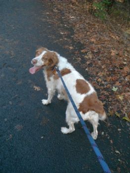 raequelh profile photo