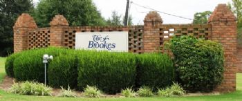 Brookelyne profile photo