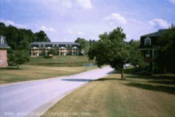 Brookelyne profile photo