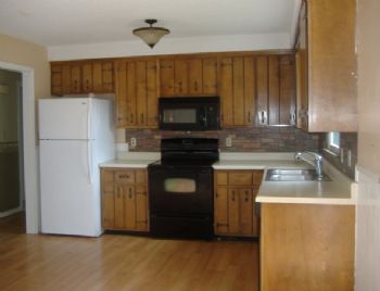 crazydena profile photo