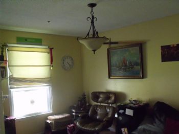 crazydena profile photo