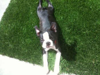 kleenfire profile photo