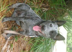 jenkelso profile photo