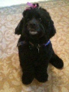 Latin_Jazz profile photo