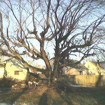 Wheel67 profile photo