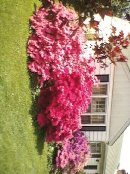 Wheel67 profile photo