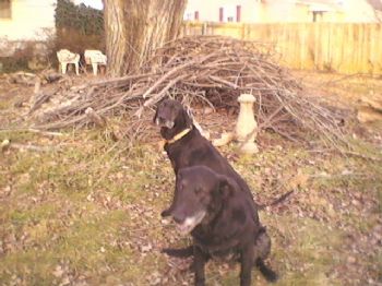 Wheel67 profile photo