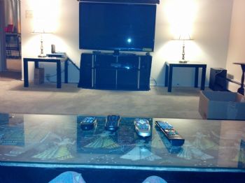 emiliothecat profile photo