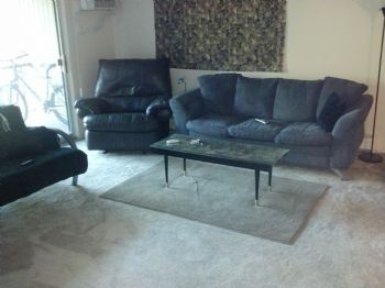 emiliothecat profile photo