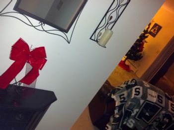 emiliothecat profile photo