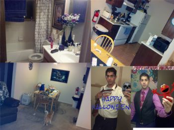 emiliothecat profile photo