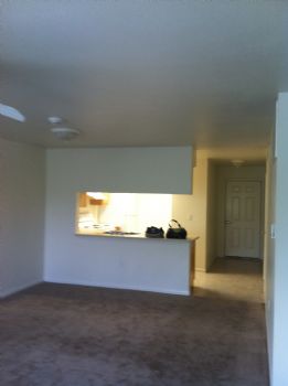 riotflower profile photo