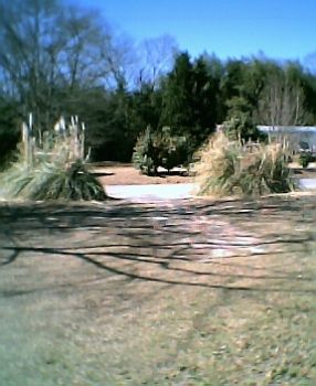 lilabadge profile photo