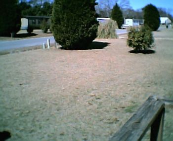 lilabadge profile photo