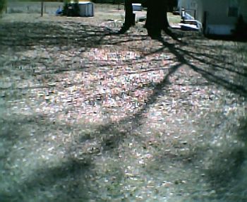 lilabadge profile photo