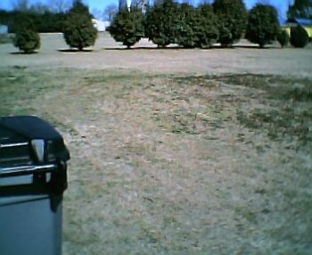 lilabadge profile photo