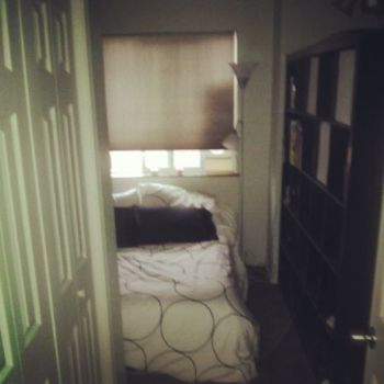 jdreynolds profile photo