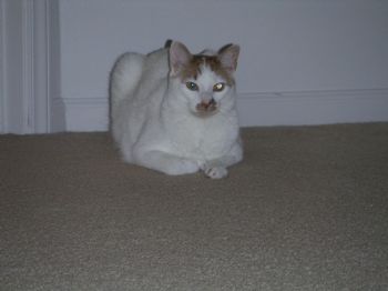 julesfern profile photo