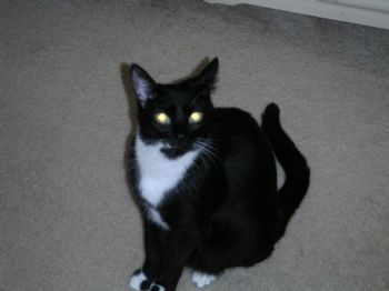 julesfern profile photo