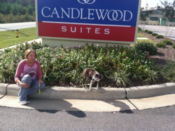 CoolChum8 profile photo