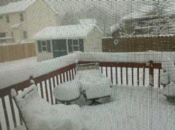 Bellaluchie profile photo